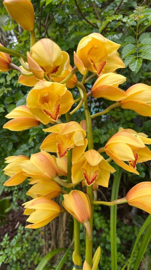 Plumeria Holidays แซ็ง-ปีแยร์ ภายนอก รูปภาพ