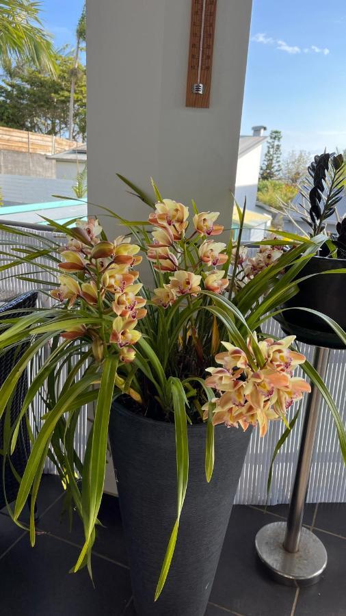 Plumeria Holidays แซ็ง-ปีแยร์ ภายนอก รูปภาพ