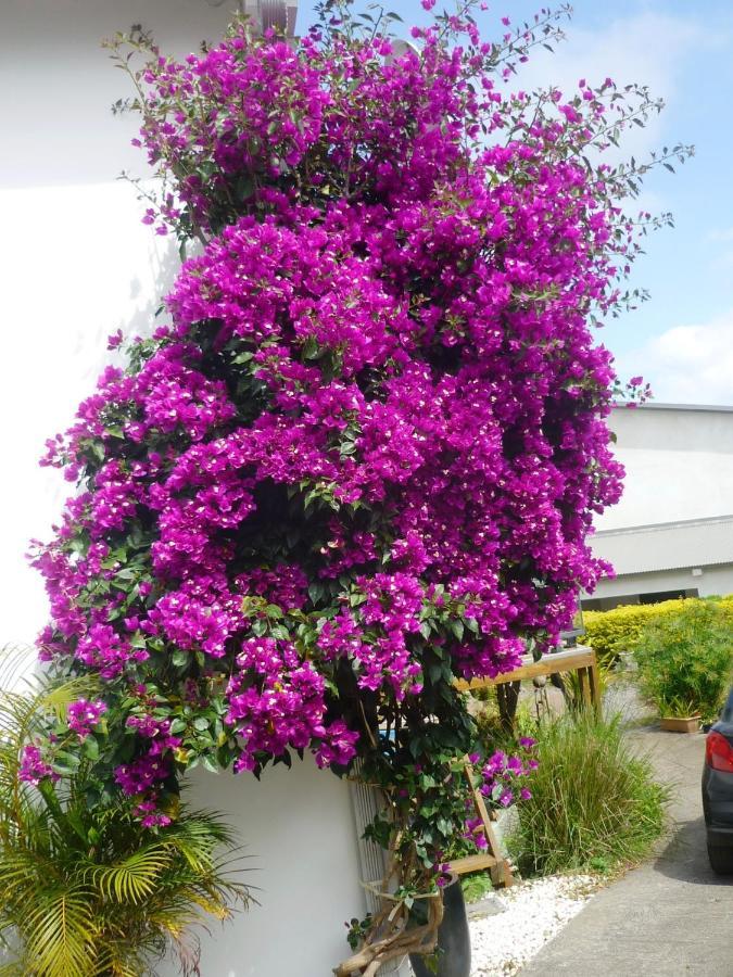Plumeria Holidays แซ็ง-ปีแยร์ ภายนอก รูปภาพ